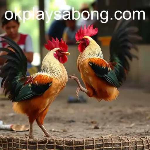 The Rise and Influence of Online Sabong with Okplay